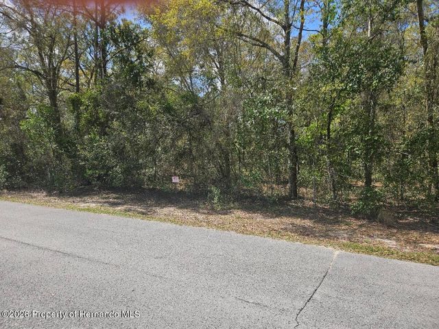 8161 Cresap Street, Brooksville, FL 34613