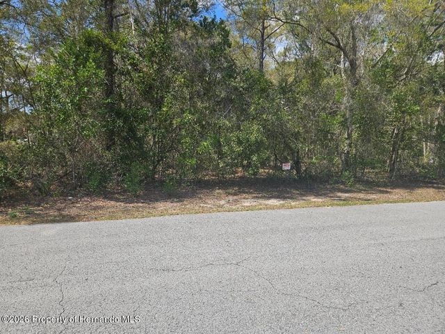 8161 Cresap Street, Brooksville, FL 34613