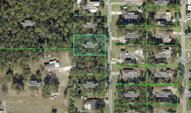 8161 Cresap Street, Brooksville, FL 34613