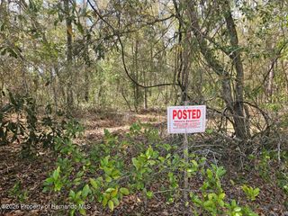 8161 Cresap Street, Brooksville, FL 34613