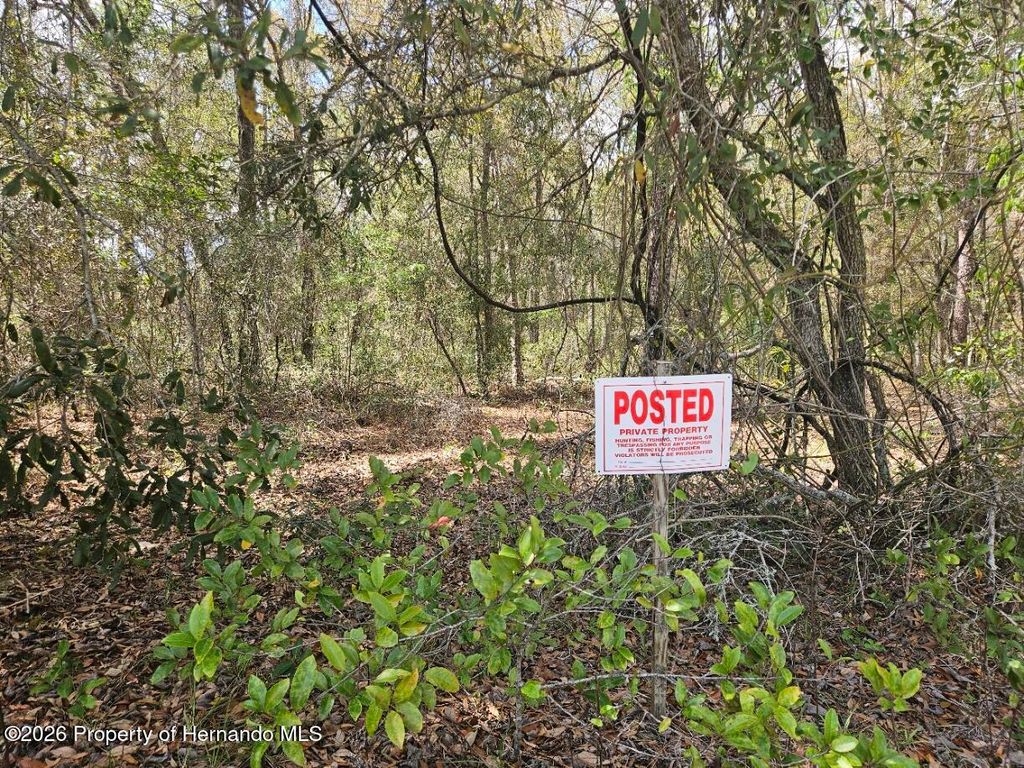 8161 Cresap Street, Brooksville, FL 34613