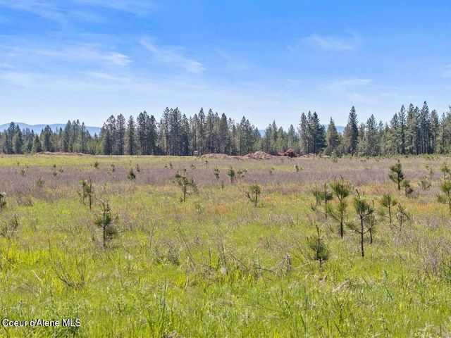 3 Ellington Ct, Athol, ID 83801