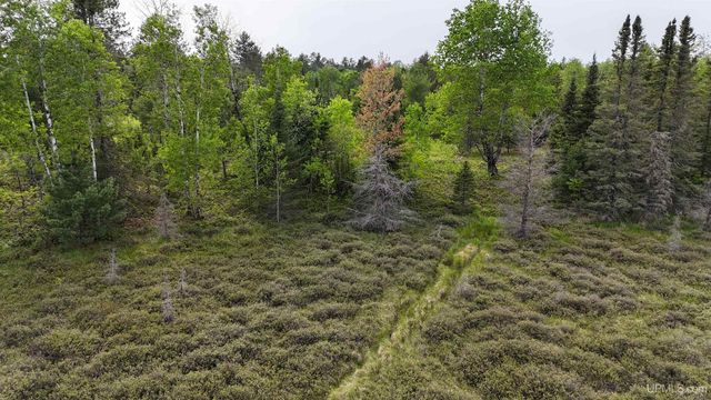 3621 Co Rd Fnn Road, Ishpeming, MI 49849