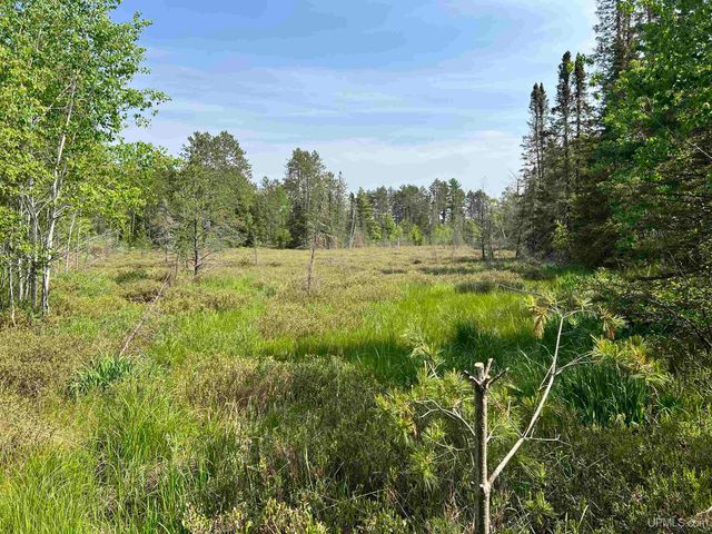 3621 Co Rd Fnn Road, Ishpeming, MI 49849