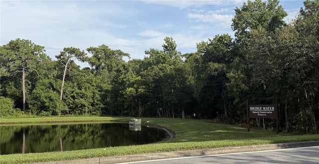 923 BRIDGEWAY BOULEVARD, Orlando, FL 32828
