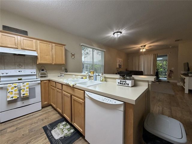 923 BRIDGEWAY BOULEVARD, Orlando, FL 32828