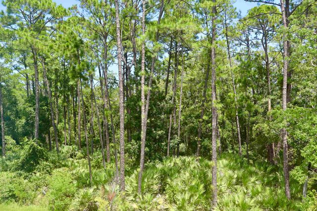 96 Silver Birch St, St Augustine, FL 32084