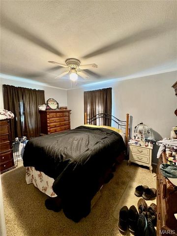 1107 E Washington Avenue, Greenville, IL 62246