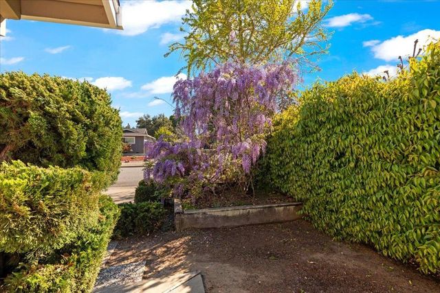 741 Saranac Drive, Sunnyvale, CA 94087