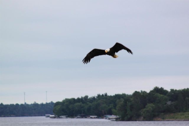 N10086 County Road G, Necedah, WI 54646