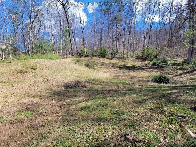 113 Park Drive, Elkview, WV 25071