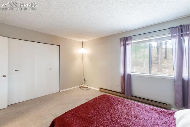 560 Manor Court C, Woodland Park, CO 80863