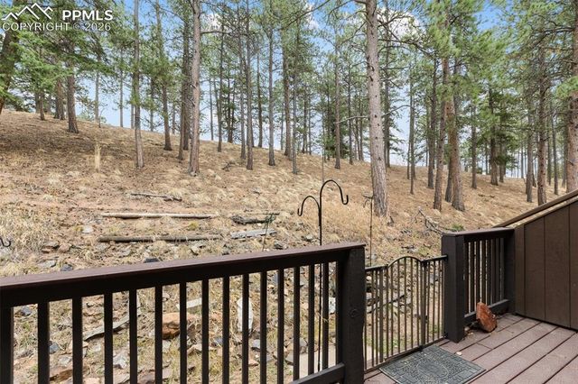 560 Manor Court C, Woodland Park, CO 80863