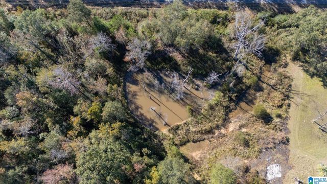 16518 WESLEY CHAPEL ROAD, Ralph, AL 35480