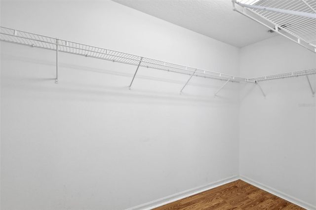 242 BLACK SPRINGS LANE, Winter Garden, FL 34787