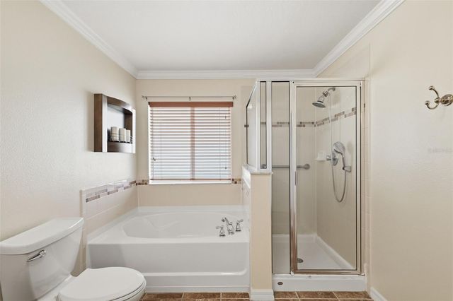 242 BLACK SPRINGS LANE, Winter Garden, FL 34787