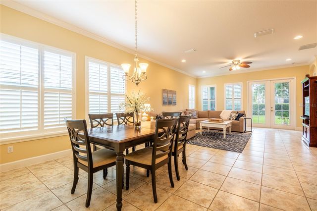 20305 ASH GROVE LANE, Tampa, FL 33647