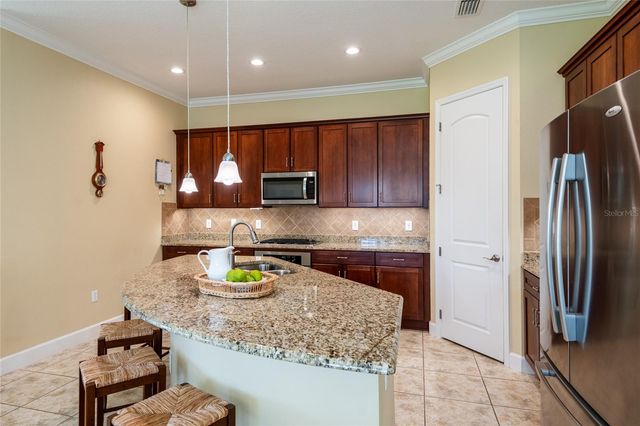20305 ASH GROVE LANE, Tampa, FL 33647