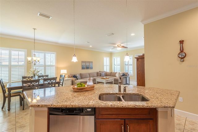 20305 ASH GROVE LANE, Tampa, FL 33647