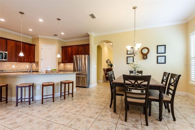 20305 ASH GROVE LANE, Tampa, FL 33647