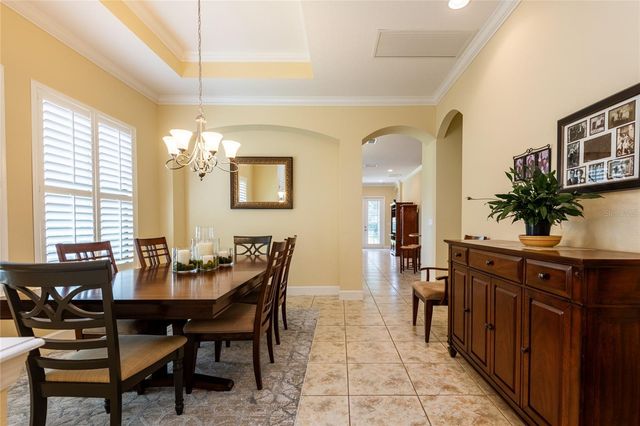 20305 ASH GROVE LANE, Tampa, FL 33647