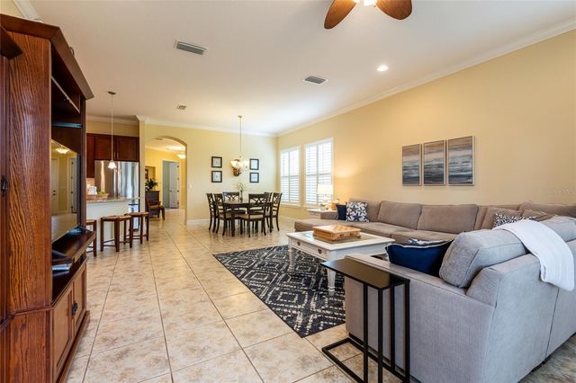 20305 ASH GROVE LANE, Tampa, FL 33647