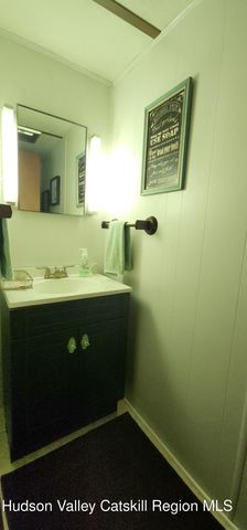 315 Begley Road, Windham, NY 12496