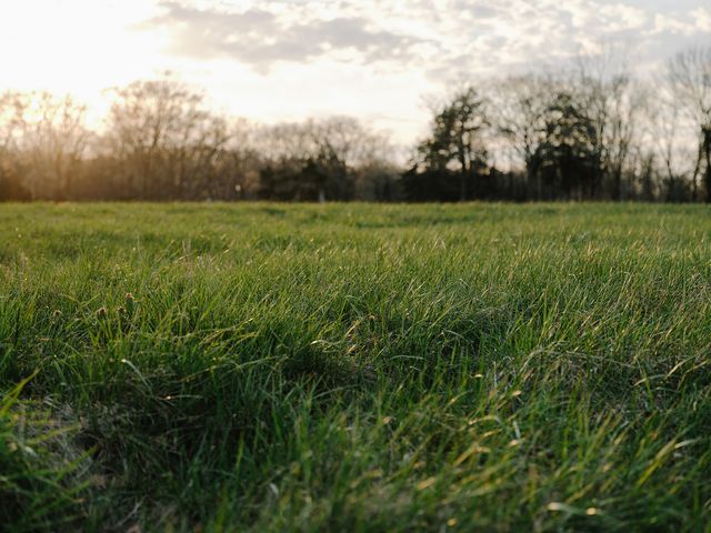 1652 Guy Ferrell Rd, Franklin, TN 37067