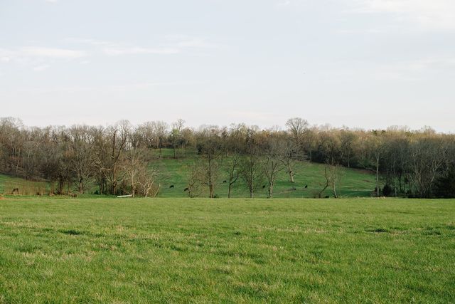 1652 Guy Ferrell Rd, Franklin, TN 37067