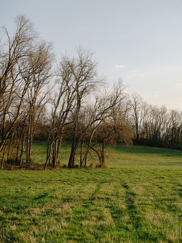 1652 Guy Ferrell Rd, Franklin, TN 37067