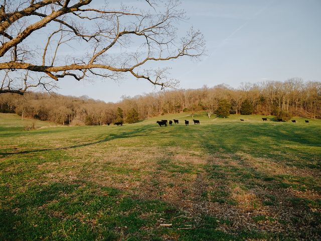 1652 Guy Ferrell Rd, Franklin, TN 37067