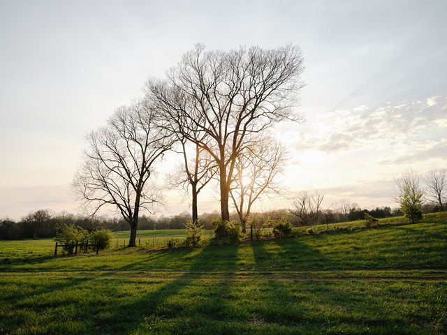 1652 Guy Ferrell Rd, Franklin, TN 37067