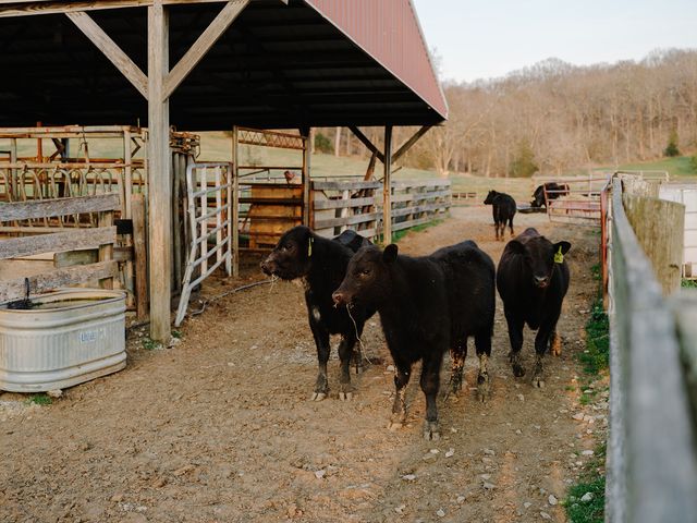 1652 Guy Ferrell Rd, Franklin, TN 37067