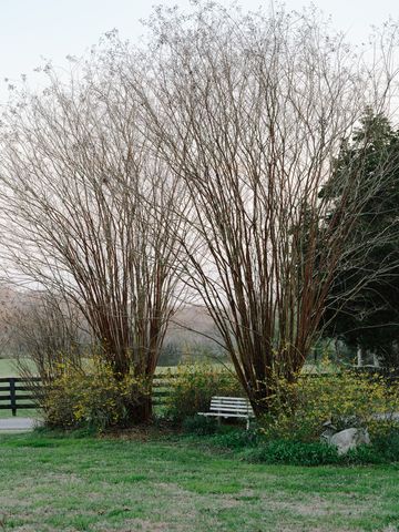 1652 Guy Ferrell Rd, Franklin, TN 37067