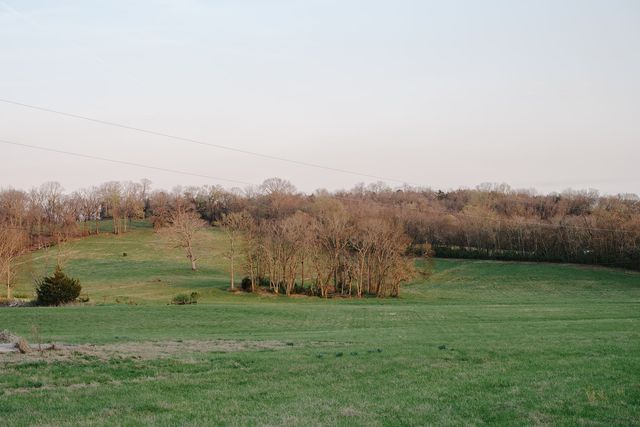 1652 Guy Ferrell Rd, Franklin, TN 37067