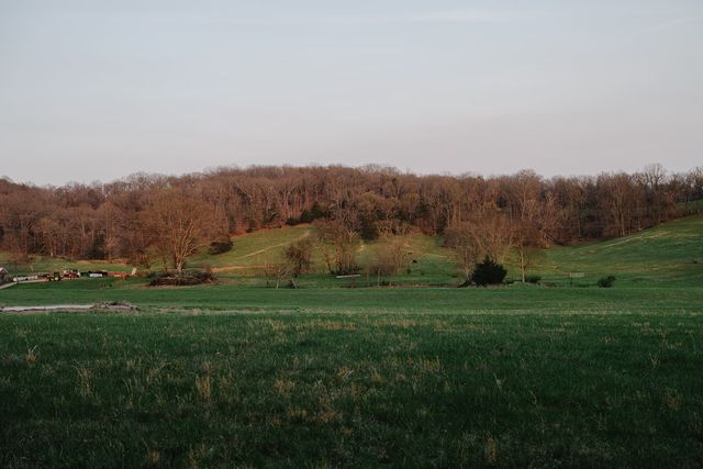 1652 Guy Ferrell Rd, Franklin, TN 37067