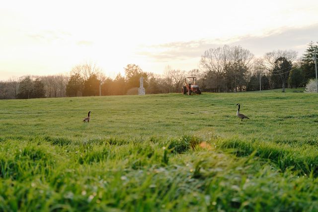 1652 Guy Ferrell Rd, Franklin, TN 37067