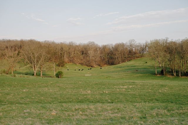 1652 Guy Ferrell Rd, Franklin, TN 37067