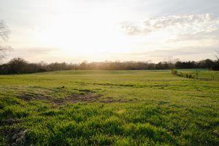 1652 Guy Ferrell Rd, Franklin, TN 37067