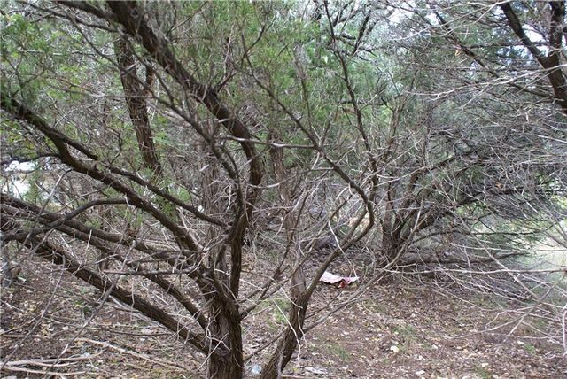 Lot 31 Panorama DR, Dripping Springs, TX 78620