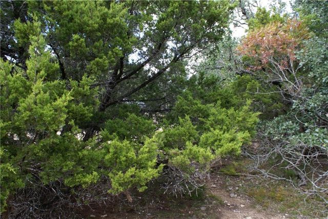 Lot 31 Panorama DR, Dripping Springs, TX 78620