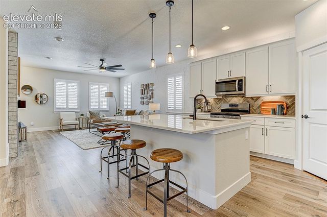 747 Sage Forest Lane, Monument, CO 80132