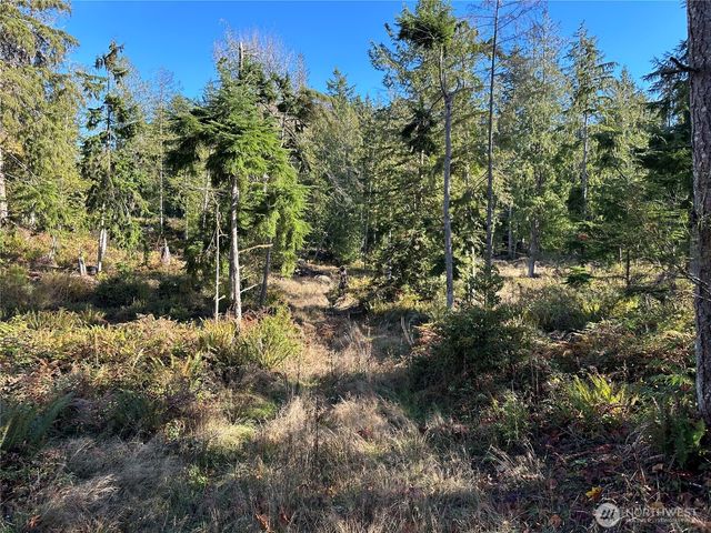 4 Lots Lilypad Place E, Port Orchard, WA 98366