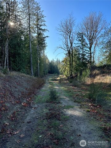4 Lots Lilypad Place E, Port Orchard, WA 98366