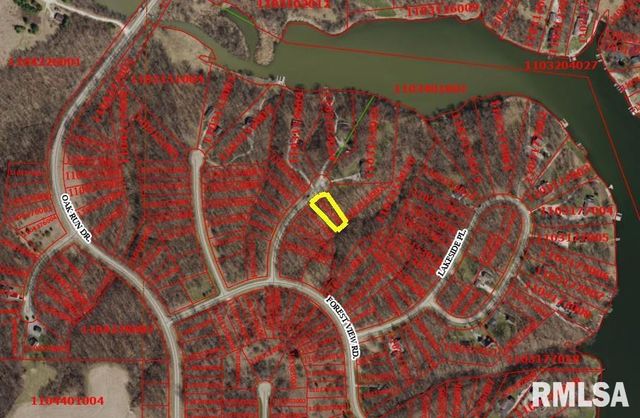 101 GREENWOOD Court, Dahinda, IL 61428