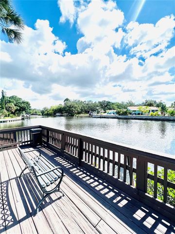 9201 TUDOR DRIVE C212, Tampa, FL 33615