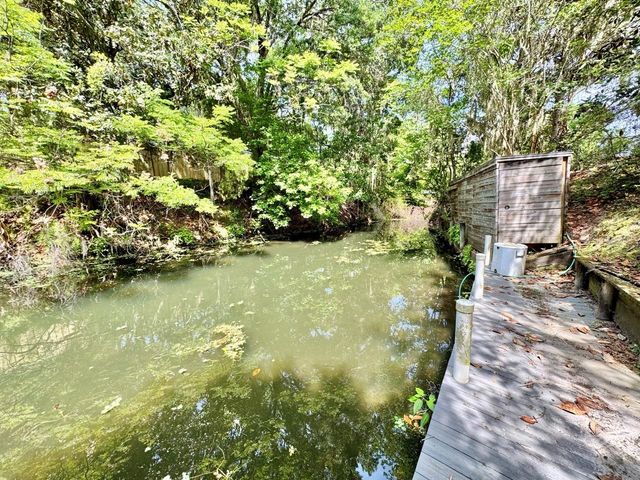 30391 NE 97TH PLACE, Salt Springs, FL 32134