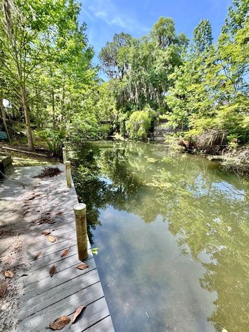 30391 NE 97TH PLACE, Salt Springs, FL 32134