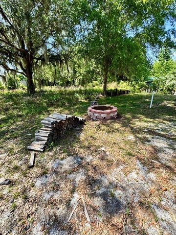 30391 NE 97TH PLACE, Salt Springs, FL 32134