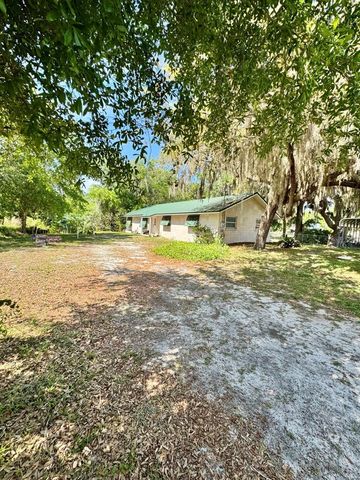 30391 NE 97TH PLACE, Salt Springs, FL 32134
